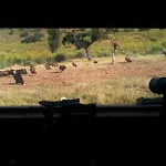 Apts La Canada Birding Con Encanto Y Patio En Monfrague Διαμέρισμα