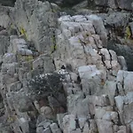 Apts La Canada Birding Con Encanto Y Patio En Monfrague Διαμέρισμα *