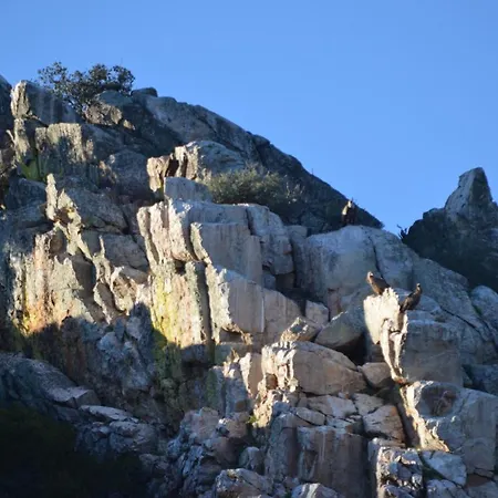 Apts La Canada Birding Con Encanto Y Patio En Monfrague *