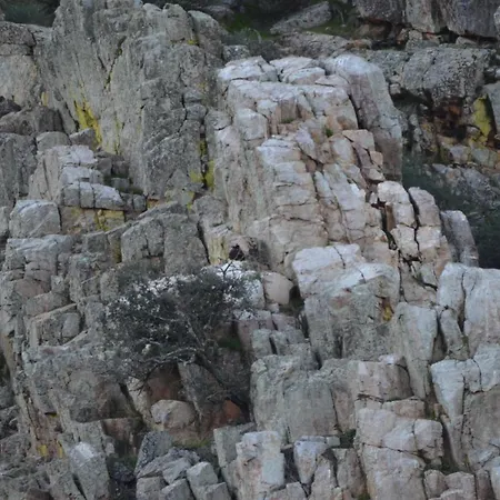 Aparta La Cañada Birding En Monfrague Apartamento *