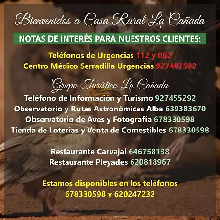 Aparta La Cañada Birding En Monfrague *