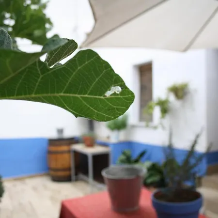 아파트 Apts La Canada Birding Con Encanto Y Patio En Monfrague *