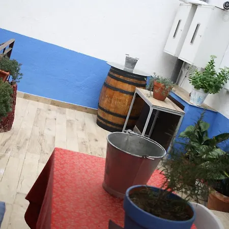 Apartment Apts La Canada Birding Con Encanto Y Patio En Monfrague Torrejon el Rubio