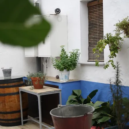 Apts La Canada Birding Con Encanto Y Patio En Monfrague
