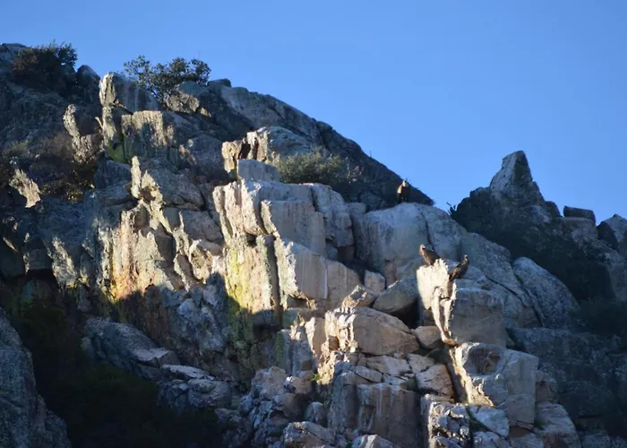 Apts La Canada Birding Con Encanto Y Patio En Monfrague *