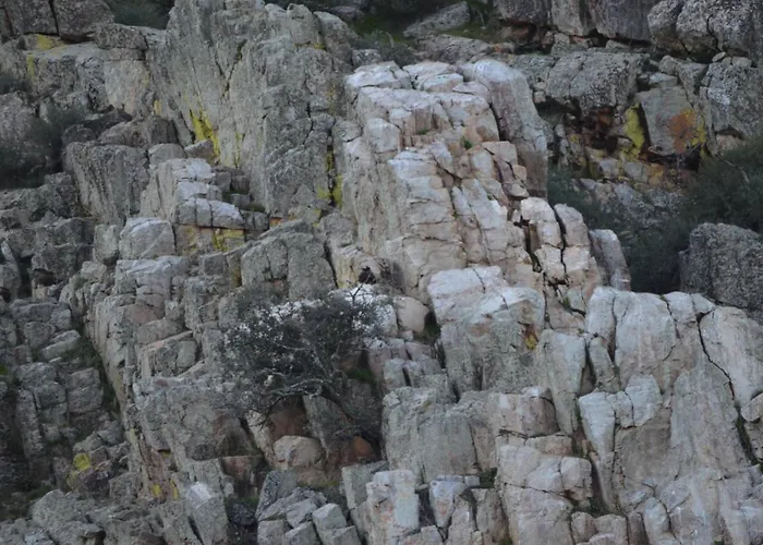 Apts La Canada Birding Con Encanto Y Patio En Monfrague Daire *