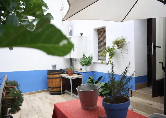 Apts La Canada Birding Con Encanto Y Patio En Monfrague Daire Torrejón el Rubio